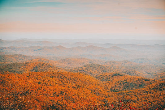 Top 5 Places to See Fall Near Clayton, GA