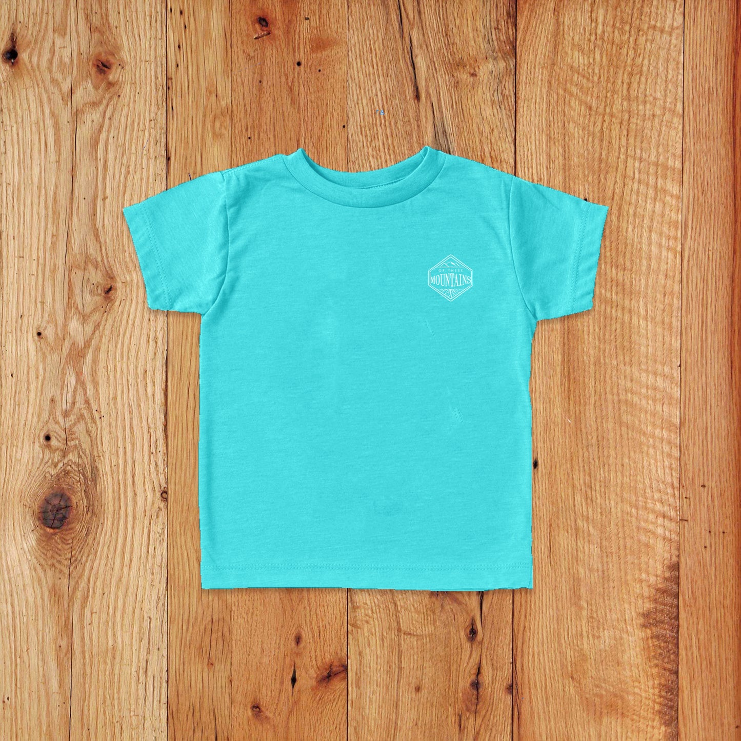 Rainbow Camping Toddler Tee