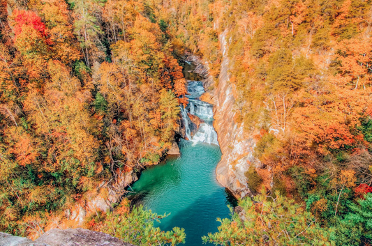 Do Go Chasing Waterfalls | Top 5 Waterfalls Near Clayton, GA